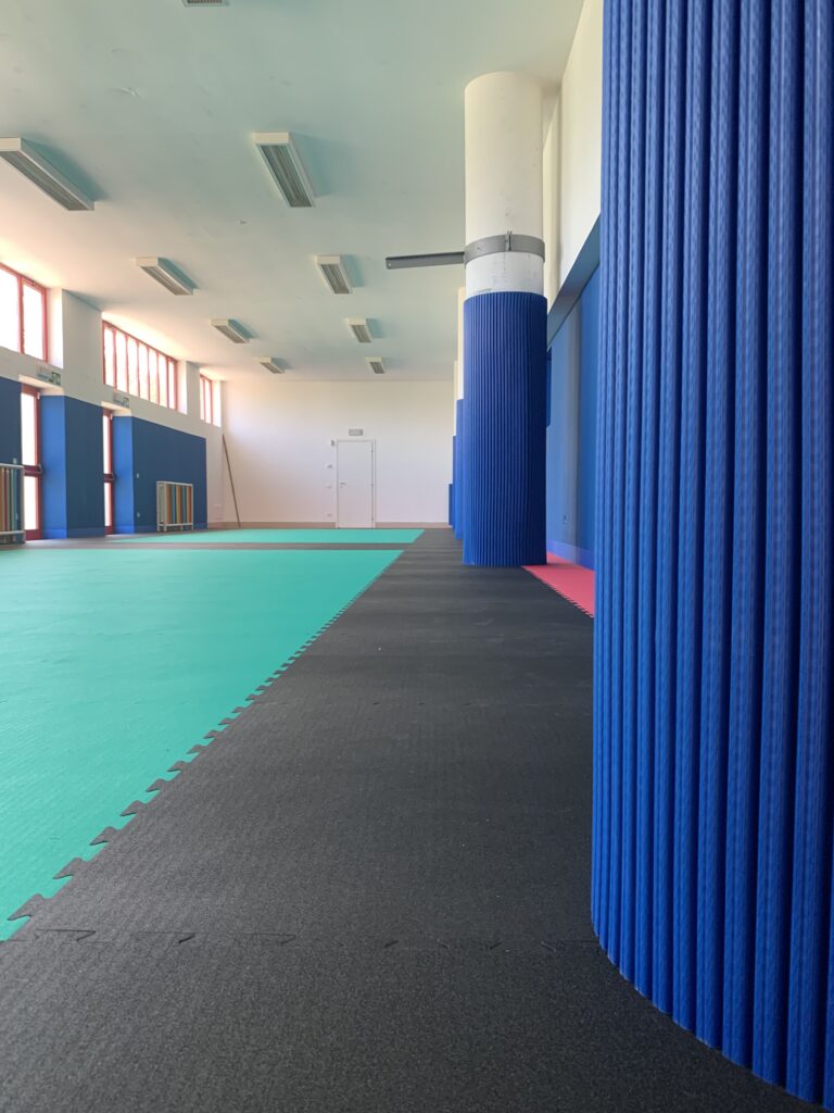 tatami giwa indoor